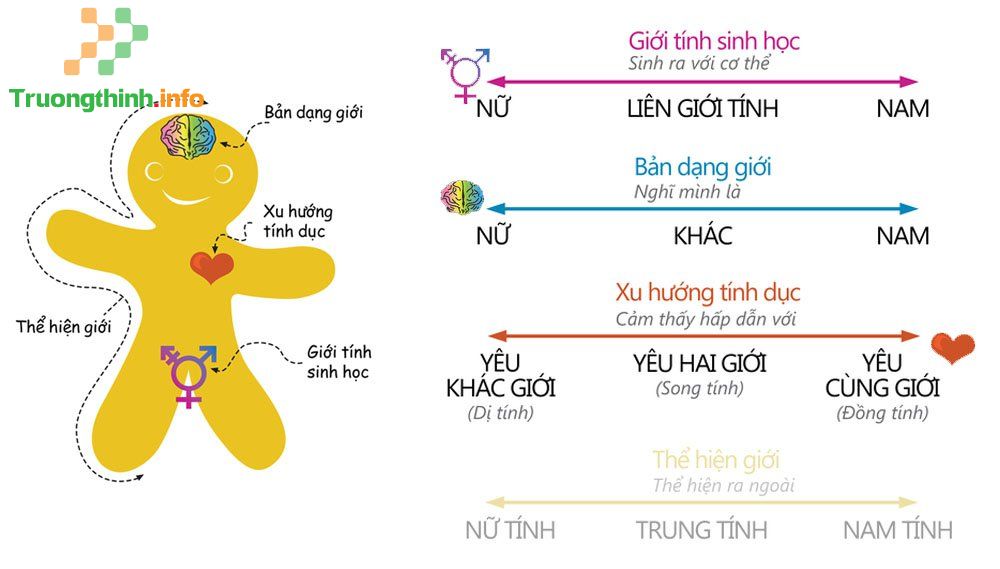                       LGBT là gì? Cộng đồng LGBT là gì? Ngày chống kỳ thị LGBT là ngày nào?