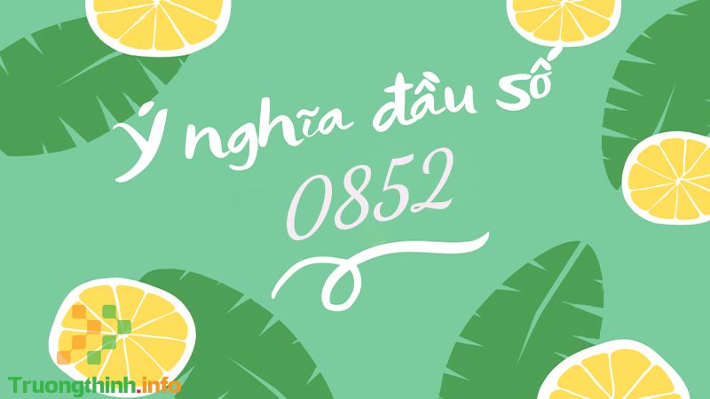 Đầu số 0852 là mạng gì? Ý nghĩa của đầu số 0852? Có phải đầu số đẹp? - Tin Công Nghệ