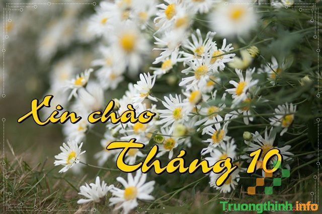                       Stt chào tháng 10 yêu thương, hình ảnh chào tháng 10 đẹp