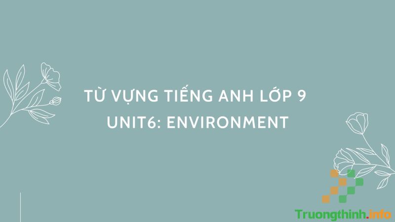 Tổng hợp từ vựng và ngữ pháp tiếng Anh lớp 9 đầy đủ, chi tiết nhất - Tin Công Nghệ