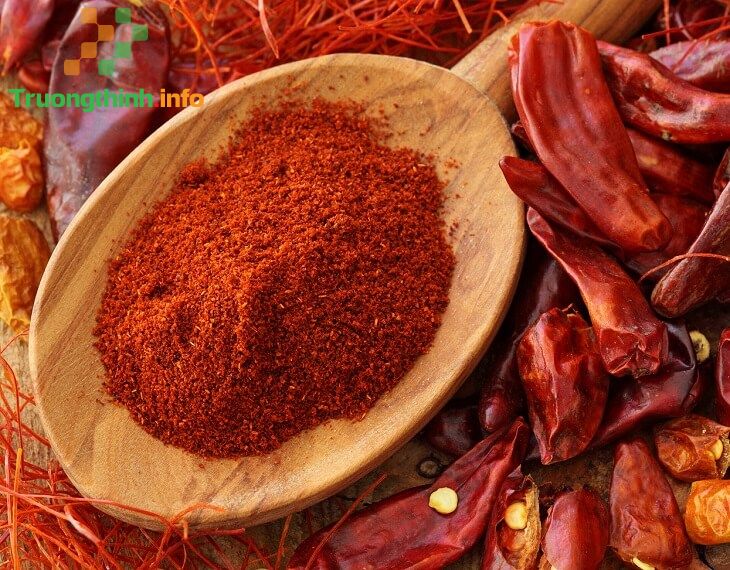                       8 Cách đuổi chuột ra khỏi nhà hiệu quả cho nhà ở, phòng trọ