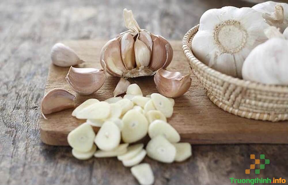                       8 Cách đuổi chuột ra khỏi nhà hiệu quả cho nhà ở, phòng trọ