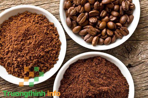                       8 Cách đuổi gián trong nhà hiệu quả chỉ với nguyên liệu nhà bếp đơn giản