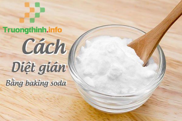                       8 Cách đuổi gián trong nhà hiệu quả chỉ với nguyên liệu nhà bếp đơn giản