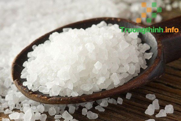                       8 Cách đuổi gián trong nhà hiệu quả chỉ với nguyên liệu nhà bếp đơn giản