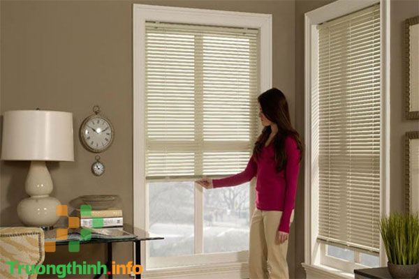                       Cách đuổi và diệt kiến ba khoang ra khỏi nhà hiệu quả, an toàn