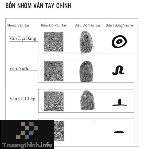                       Sinh trắc vân tay là gì? Sinh trắc vân tay có đúng không?