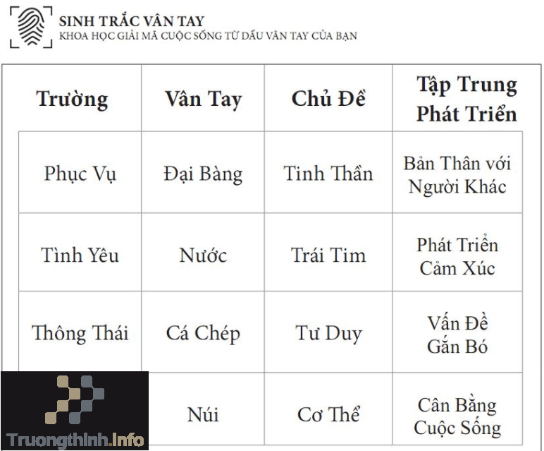                       Sinh trắc vân tay là gì? Sinh trắc vân tay có đúng không?