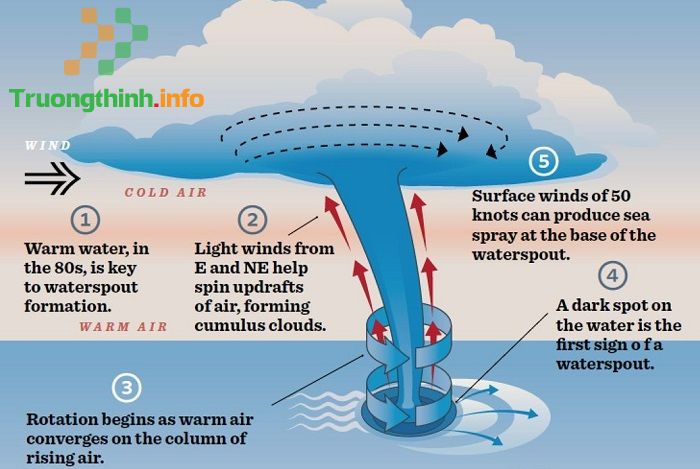                      Vòi rồng là gì? Hiện tượng vòi rồng hút nước là gì?