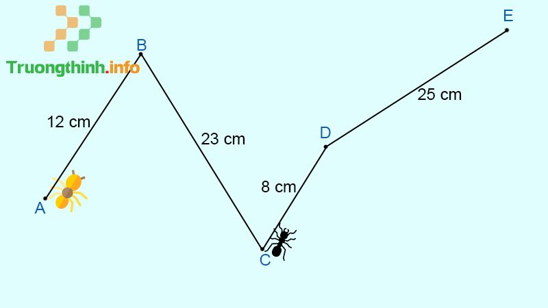 Lý thuyết đường gấp khúc và cách tính độ dài đường gấp khúc cực đầy đủ - Tin Công Nghệ