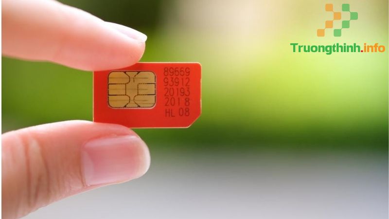 SIM thường, Micro SIM, Nano SIM, eSIM là gì? Có gì khác nhau? - Tin Công Nghệ