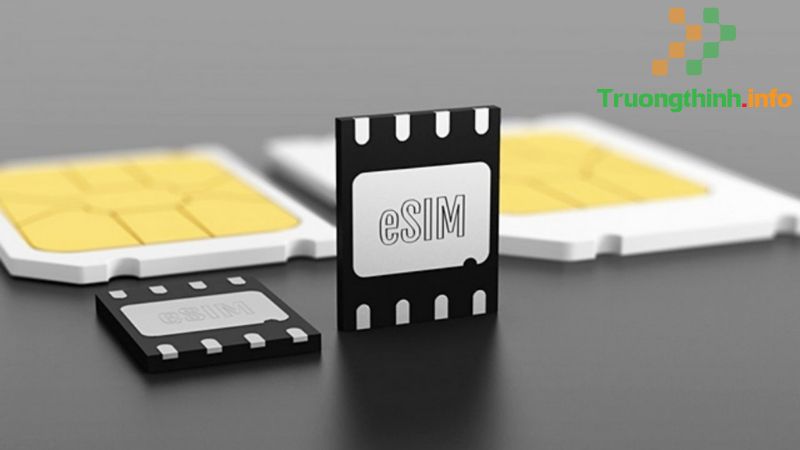 SIM thường, Micro SIM, Nano SIM, eSIM là gì? Có gì khác nhau? - Tin Công Nghệ