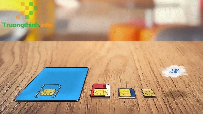 SIM thường, Micro SIM, Nano SIM, eSIM là gì? Có gì khác nhau? - Tin Công Nghệ