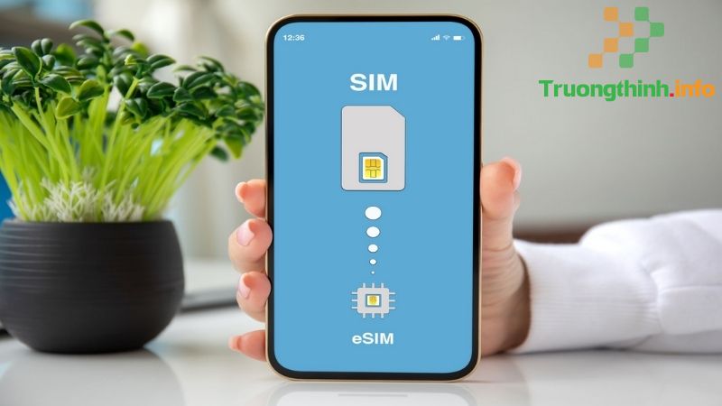 SIM thường, Micro SIM, Nano SIM, eSIM là gì? Có gì khác nhau? - Tin Công Nghệ