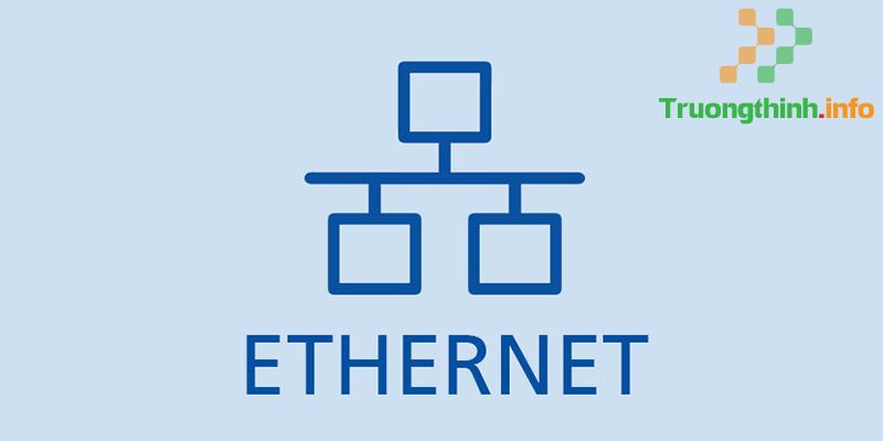 Ethernet là gì? Cổng Ethernet là gì? Đặc điểm nổi bật của Ethernet - Tin Công Nghệ