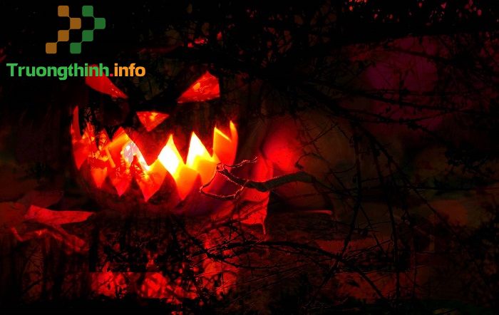                       Những hình ảnh về Halloween đẹp, dễ thương, kinh dị
