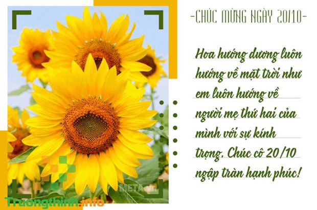                       Thiệp chúc mừng 20/10 cho mẹ, cô giáo đẹp nhất