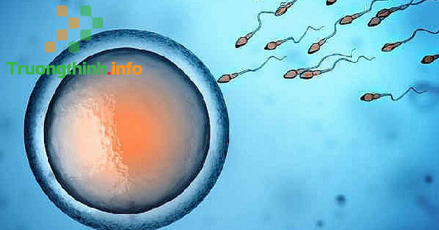                       Quan hệ ngoài có khả năng có thai không?