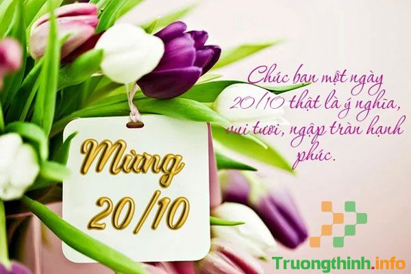                       Lời chúc 20/10 ngắn gọn ý nghĩa mừng ngày phụ nữ Việt Nam