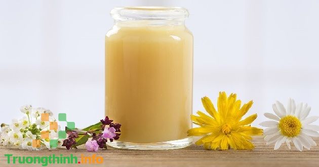                       Sữa ong chúa có tác dụng gì? Cách sử dụng sữa ong chúa hiệu quả nhất