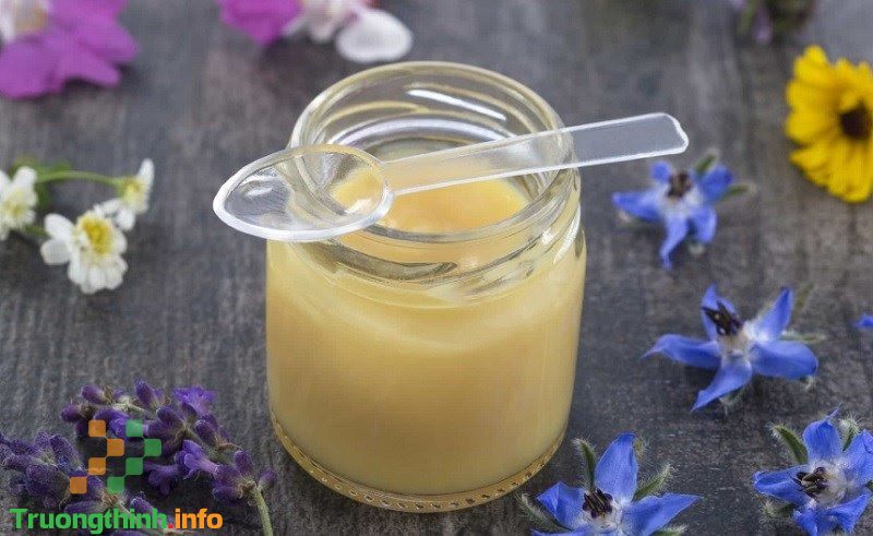                       Sữa ong chúa có tác dụng gì? Cách sử dụng sữa ong chúa hiệu quả nhất