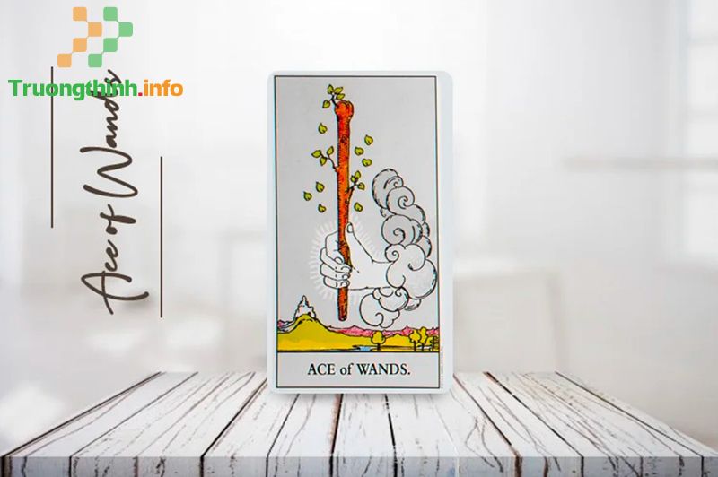 Ý nghĩa lá bài Ace Of Wands trong Tarot theo chuẩn Rider Waite Smith - Tin Công Nghệ