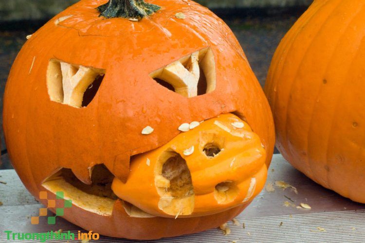                       Bí ngô Halloween - Hình ảnh, cách tỉa và trang trí quả bí ngô Halloween