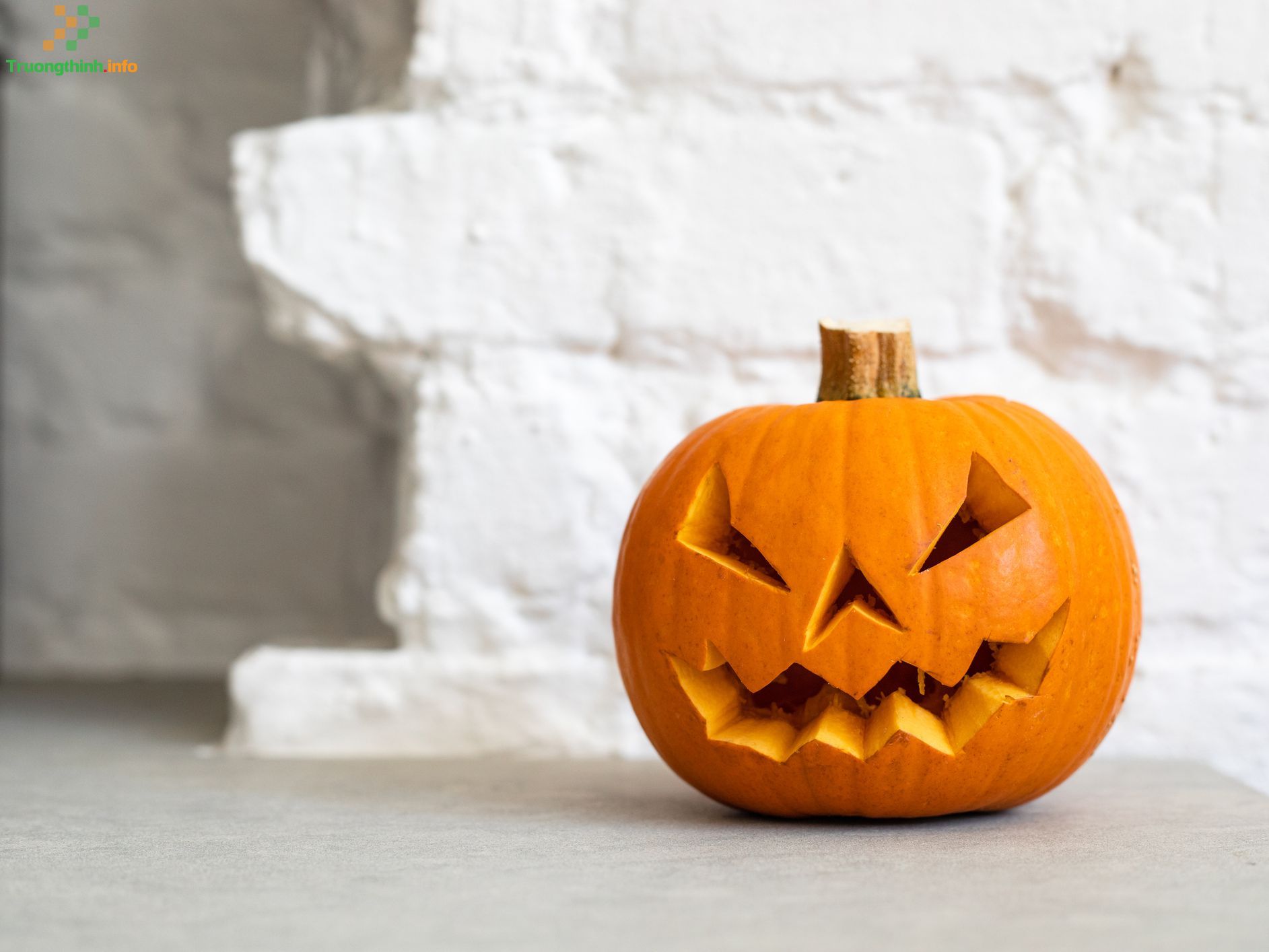                       Bí ngô Halloween - Hình ảnh, cách tỉa và trang trí quả bí ngô Halloween