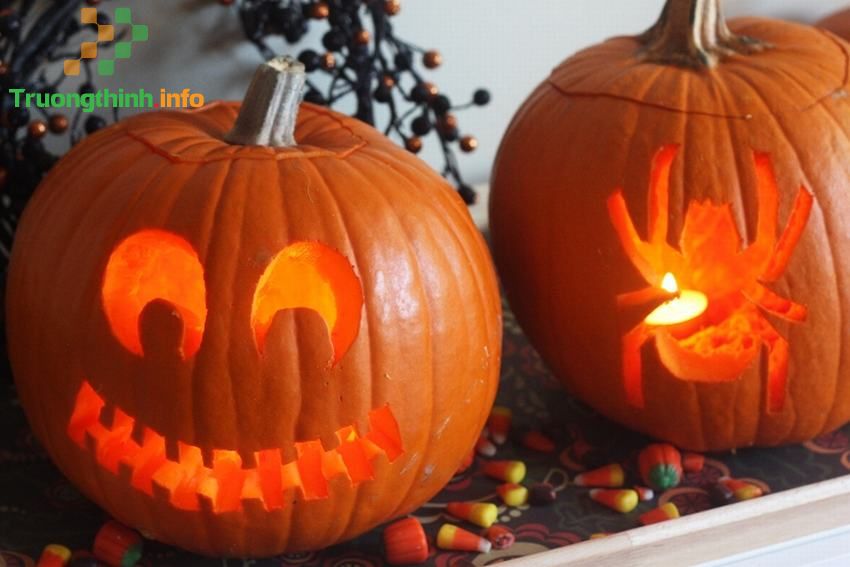                       Bí ngô Halloween - Hình ảnh, cách tỉa và trang trí quả bí ngô Halloween