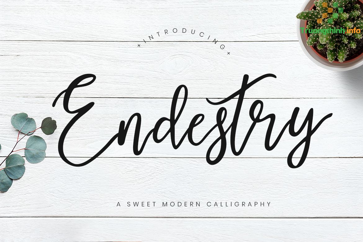                       Calligraphy fonts: Tổng hợp các font chữ thư pháp đẹp nhất