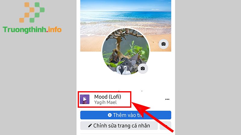 Cách thêm và xóa/bỏ ghim bài hát trên tiểu sử trang cá nhân Facebook - Tin Công Nghệ