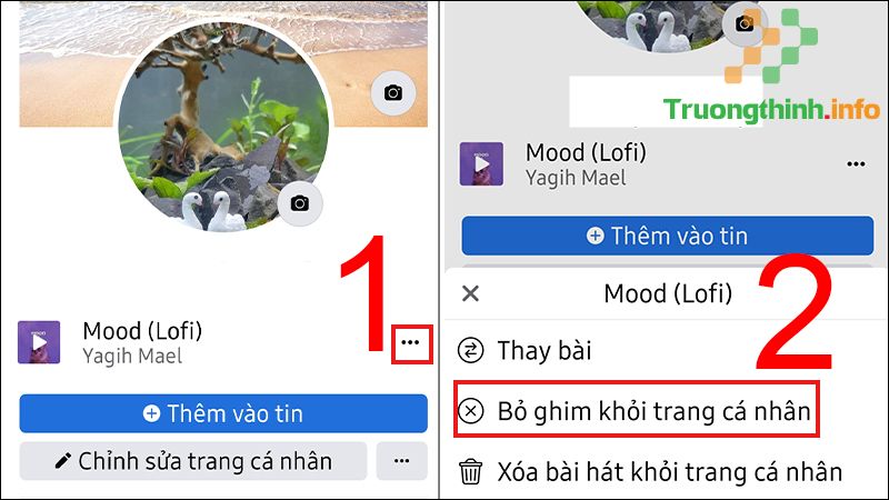 Cách thêm và xóa/bỏ ghim bài hát trên tiểu sử trang cá nhân Facebook - Tin Công Nghệ