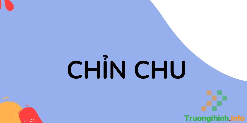 Chỉnh chu hay chỉn chu, từ nào mới là đúng chính tả? Cách dùng đúng - Tin Công Nghệ