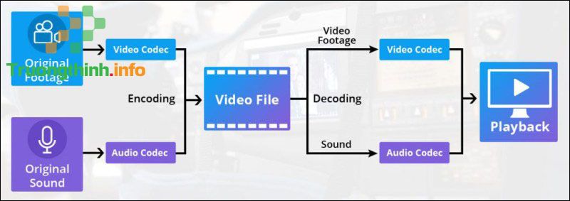 Codec là gì? Có quan trọng không? Máy tính cần bao nhiêu codec - Tin Công Nghệ