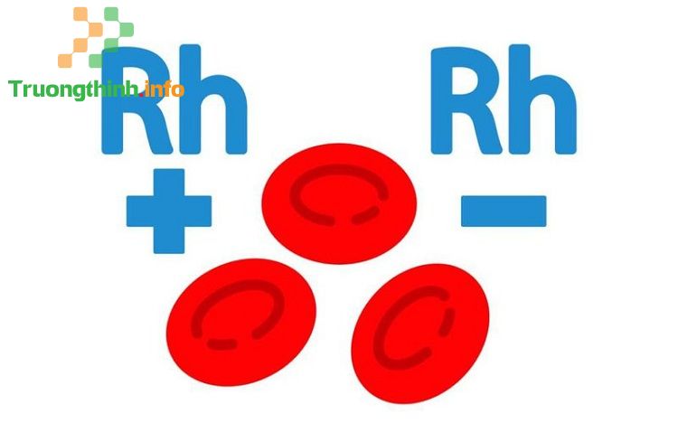                       Đặc điểm nhóm máu O là gì? Cách nhận biết nhóm máu O như thế nào?