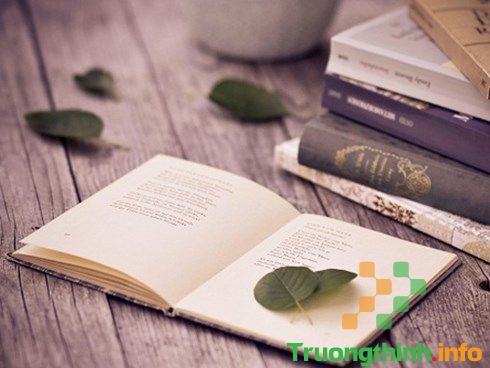                       Quote là gì? Cách tạo quotes đẹp và chất nhất