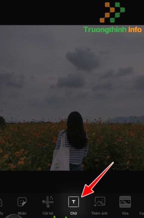                       Quote là gì? Cách tạo quotes đẹp và chất nhất
