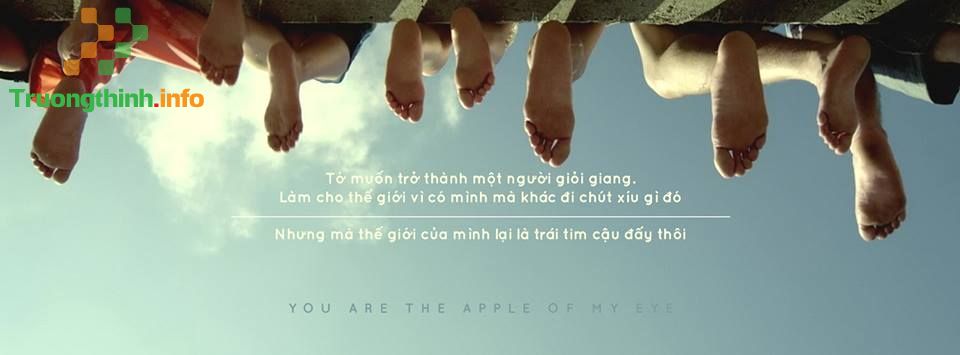                       Quote là gì? Cách tạo quotes đẹp và chất nhất