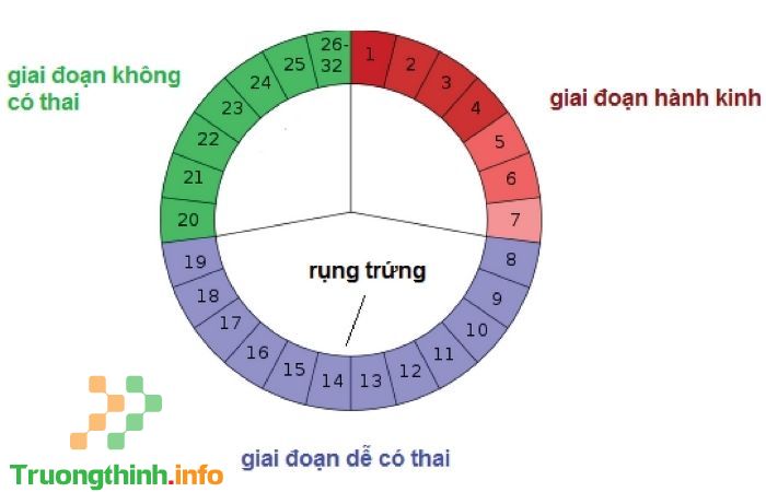                       Chu kỳ kinh nguyệt bao nhiêu ngày là chuẩn? Cách tính chu kỳ kinh nguyệt cực đơn giản