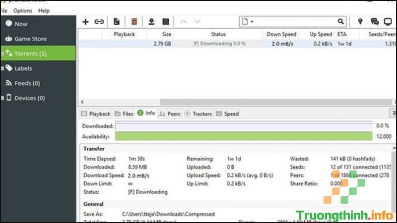 Torrent là gì? Những điều cần biết và cách sử dụng Torrent - Tin Công Nghệ