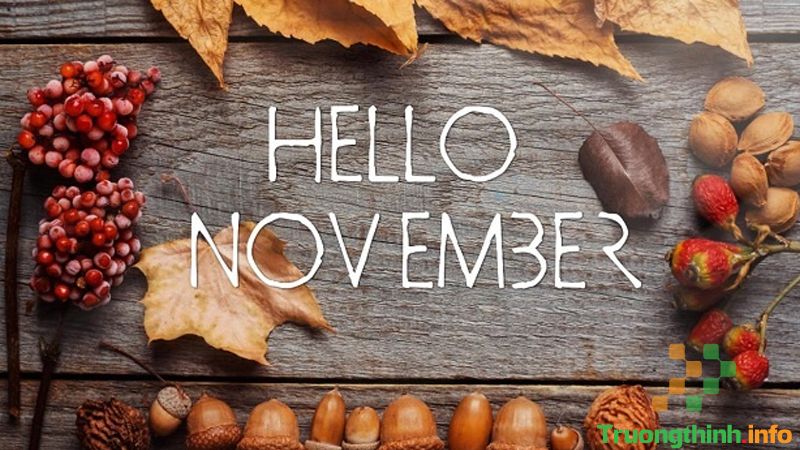 5/11 là ngày gì? Thuộc cung hoàng đạo gì? Có sự kiện nổi bật nào? - Tin Công Nghệ