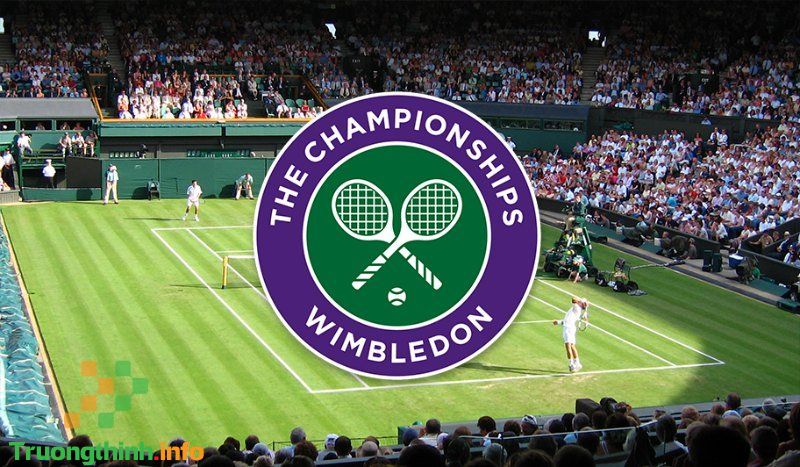                       Wimbledon 2021 diễn ra khi nào? Vô địch Wimbledon 2021 được bao nhiêu tiền?