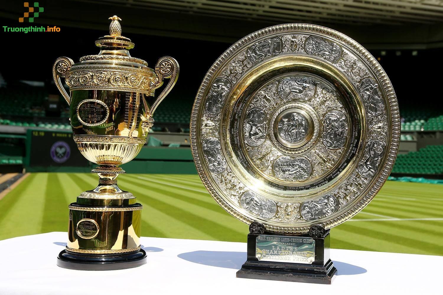                       Wimbledon 2021 diễn ra khi nào? Vô địch Wimbledon 2021 được bao nhiêu tiền?