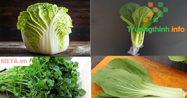                       Tên và hình ảnh tất cả các loại rau cải