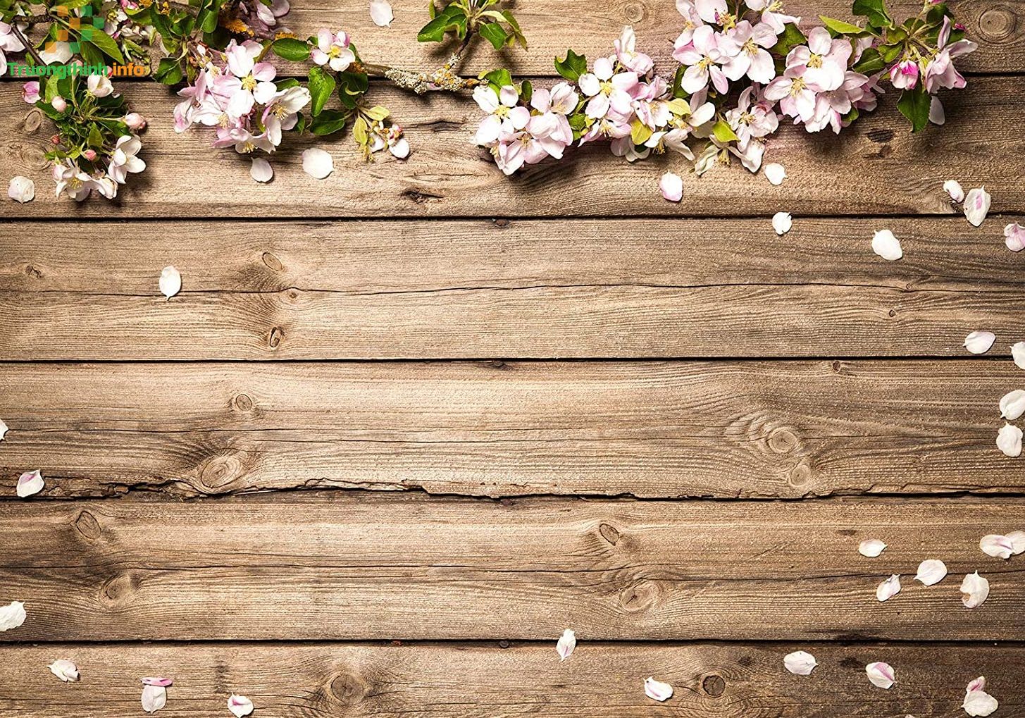                       Các mẫu background wood, ảnh background gỗ đẹp, đơn giản