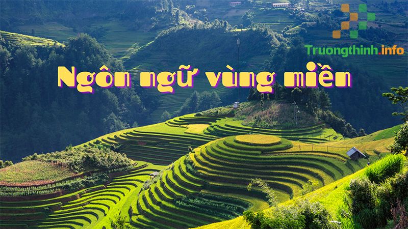 Chân trọng hay trân trọng, từ nào mới đúng chính tả? Cách dùng đúng - Tin Công Nghệ