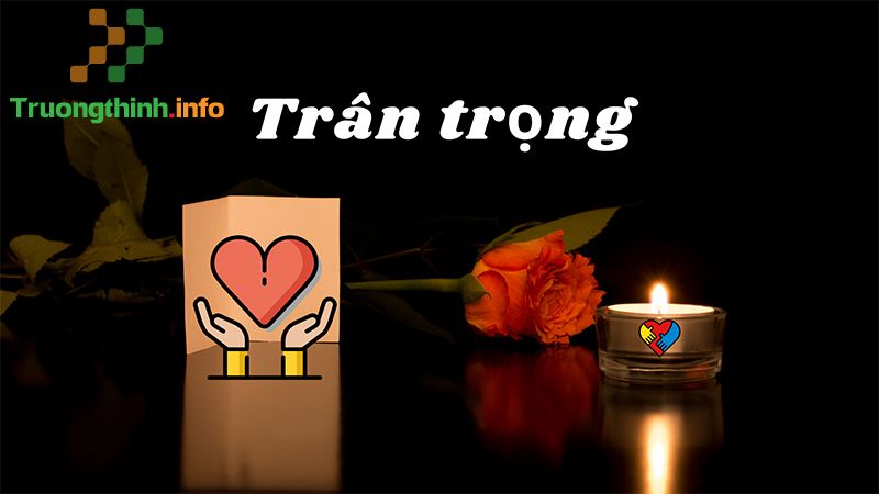 Chân trọng hay trân trọng, từ nào mới đúng chính tả? Cách dùng đúng - Tin Công Nghệ