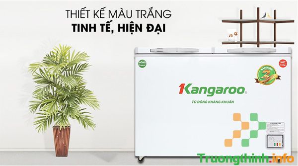                       Tủ đông Kangaroo có tốt không? Giá bao nhiêu?