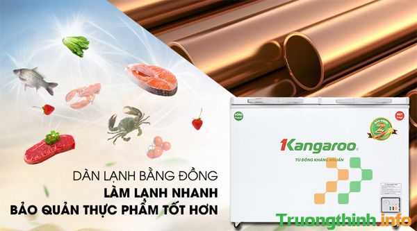                       Tủ đông Kangaroo có tốt không? Giá bao nhiêu?