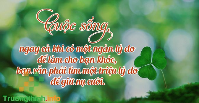                       Những câu nói hay, thâm thúy về nhân cách sống con người